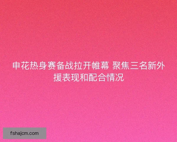 申花热身赛备战拉开帷幕 聚焦三名新外援表现和配合情况